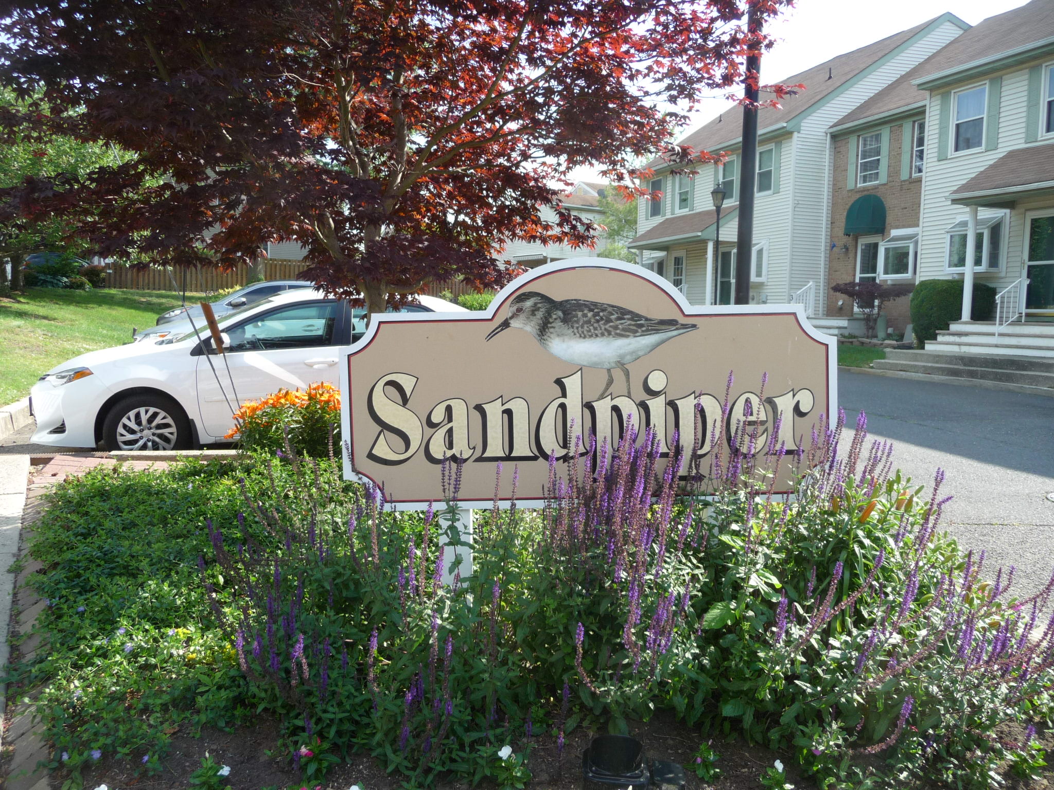 Entry sign and buildings in Sandpiper.